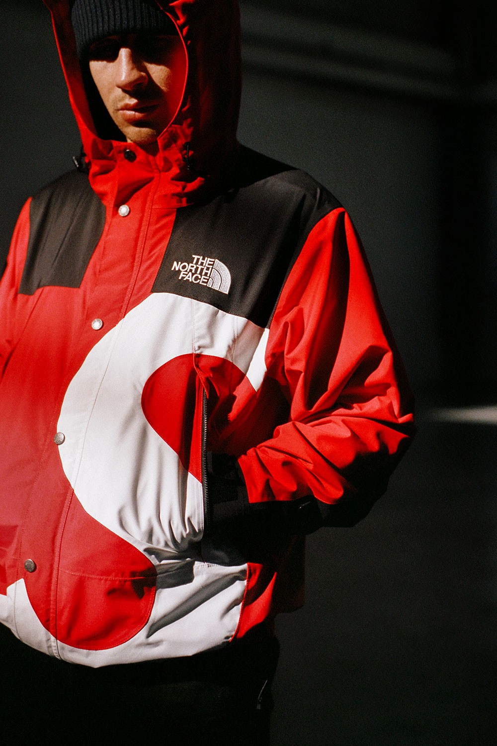Https  sneakerspirit.com collab Supreme The North Face FW20 release 13